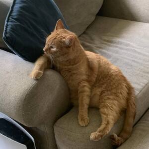 Fundraising Page: Carla McCall